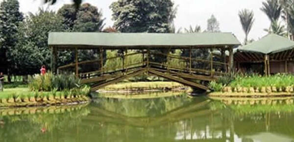 jardín botánico juan maría céspedes
