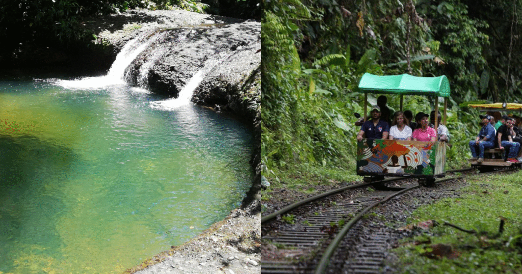 san cipriano buenaventura brujitas